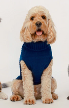 Load image into Gallery viewer, Fab Dog Navy Sweater
