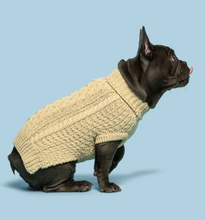 Load image into Gallery viewer, Fab Dog Oatmeal Chunky Sweater
