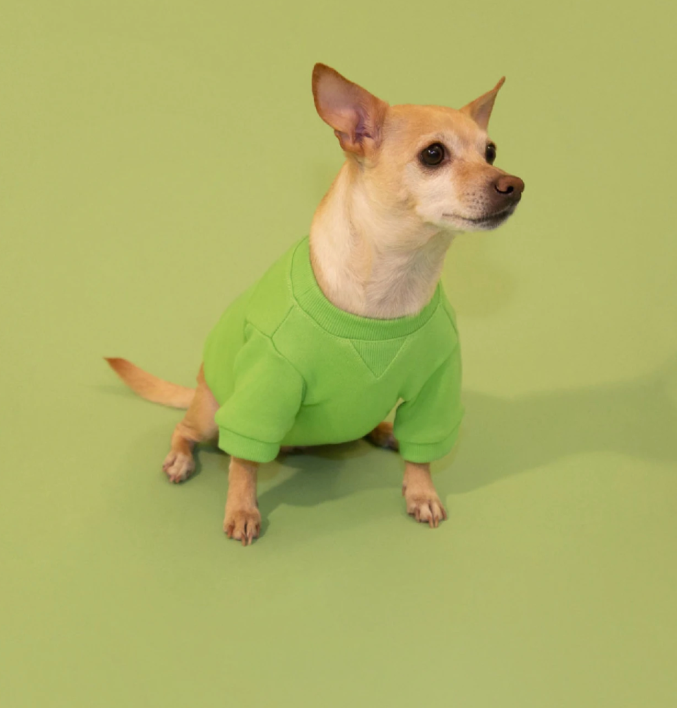Little Beast Lucky Green Dog Sweatshirt