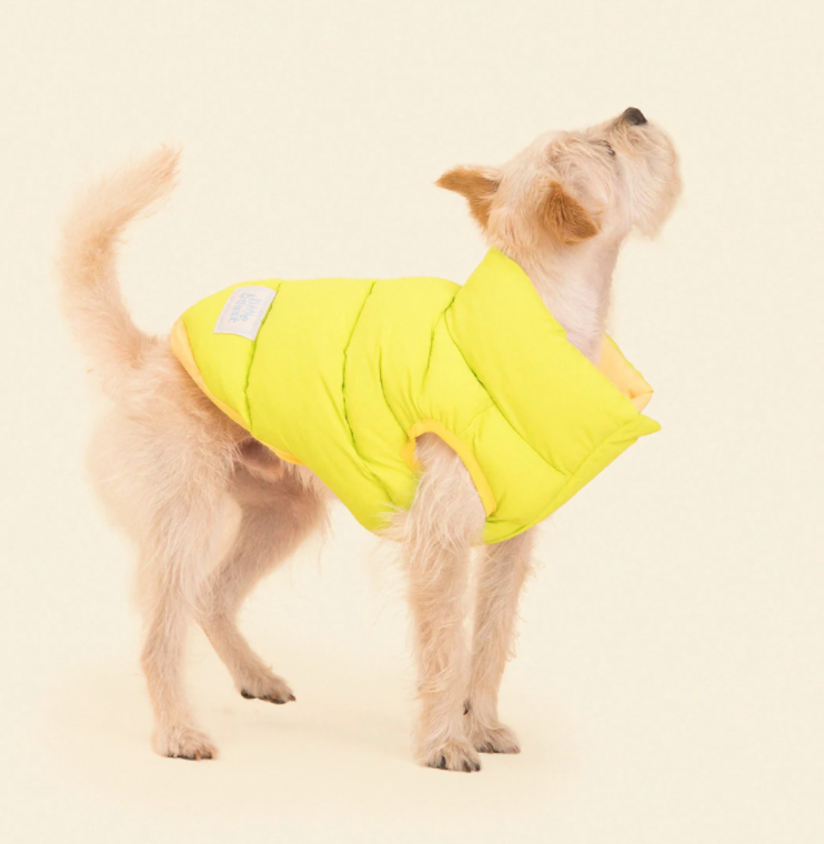 Little Beast Lime and Cream Reversible Dog Puffer