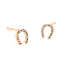 Load image into Gallery viewer, Tai Horse shoe Earrings $40
